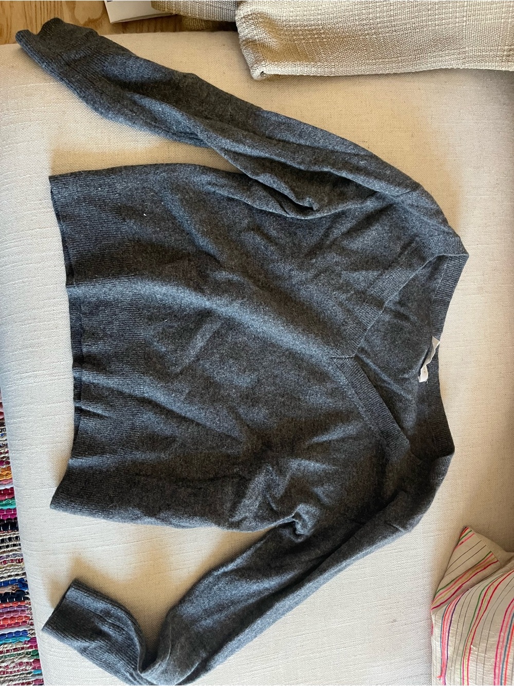 Everlane Charcoal V-Neck Sweater